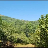 باغ-فندق
