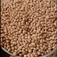 لوبیا ریز آشی