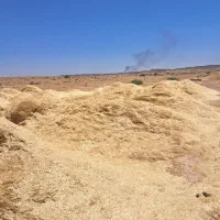 کاه گندم