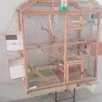 فروش فوری قفس چوبی بزرگ|لوازم جانبی حیوانات|بوشهر, |دیوار