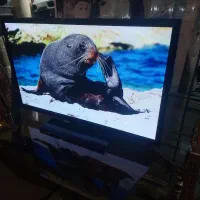 ال سی دی 43 اینچ