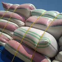 کاه گندم ریز