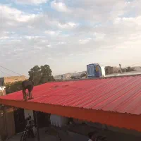 تولیدی ایرانیت