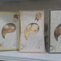 مواد غذایی