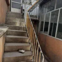 اجاره خانه|اجارهٔ خانه و ویلا|تهران, مهرآباد|دیوار