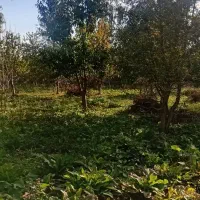 باغ گیلاس تک دانه نزدیک خوی|فروش زمین و ملک کلنگی|فیرورق, |دیوار