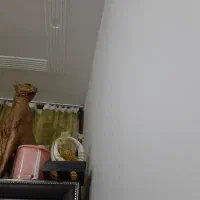 مجسمه معاوضه باایزی لایف وموادغذایی ونقدی