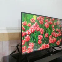 ال ای دی 43 اینچ سامسونگ