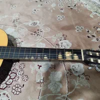 گیتار AREA|گیتار، بیس، امپلیفایر|شهریار, شهرک وائین|دیوار