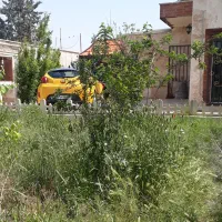 همخانه-همخونه