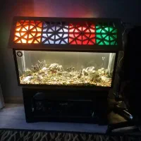 اکواریوم حرفه ای