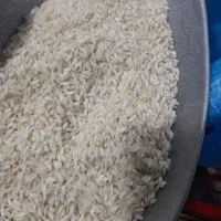 برنج عنبربو|خوردنی و آشامیدنی|مسجد سلیمان, |دیوار