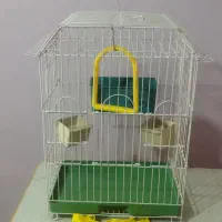 قفس|لوازم جانبی حیوانات|تهران, علیآباد|دیوار