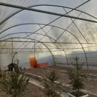 لوله کامل ۳۰۰متر گلخانه با پلاستیک سالم|مصالح و تجهیزات ساختمان|سرعین, |دیوار