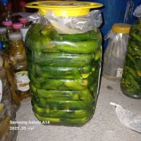 خیارشور تازه همدان|خوردنی و آشامیدنی|تهران, شهرک گلها (تهرانسر)|دیوار