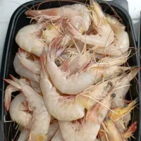 بازاریاب ویزیتور حسابدار فروشنده|استخدام بازاریابی و فروش|شیراز, شهرک صنعتی شیراز|دیوار