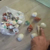 آکواریوم شیشه خم شرکتی با وسایل|ماهی|تهران, شادآباد|دیوار