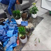 خدمات باغبانی گل کاری هرسکاری و تعویض خاک گلدون|خدمات باغبانی و درختکاری|تهران, تهرانپارس شرقی|دیوار