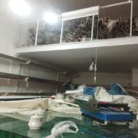 کارگاه پرده زبراوشبوروز