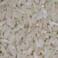 فروشی برنج
