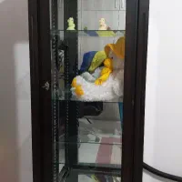 ویترین|بوفه، ویترین، کنسول|رشت, آب و برق|دیوار