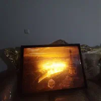 تابلو شب نما