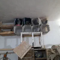 کفترپلاکی اصلی|پرنده|قم, بیانی|دیوار