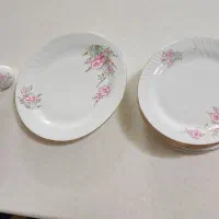 میوه خوری|ظروف سرو و پذیرایی|کاشان, زیدی|دیوار