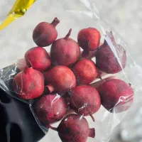 انار و فال یلدا زیر قیمت|صنایع دستی و سایر لوازم تزئینی|بندر کنگان, |دیوار