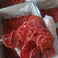 گوجه خشک پودر گوجه ، لبو، ادویجات  پودر پیاز ، سیر