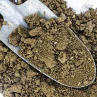 کود گاوی پر بار و مرغوب برای باغات و زمین کشاورزی