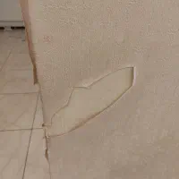 تعویض کاغذ دیواری با گارانتی.زیرسازی حرفه ای،تعمیر|خدمات پیشه و مهارت|شیراز, ارم|دیوار