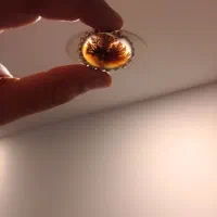 انگشتر نقره شجر