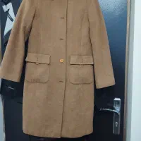 دوعددپالتو درحد نو