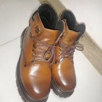 پوتین فندقی نو