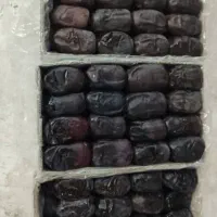خرمای سروان|خوردنی و آشامیدنی|قم, آزادگان|دیوار
