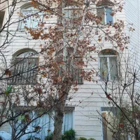 ۴۸۰ متر مستغلات قدیمی دزاشیب حکمت