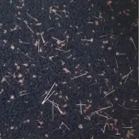 بزر موسیر و موسیر بزر