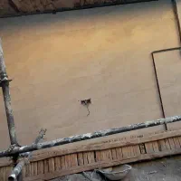 بنا هستم با 16 سال سابقه