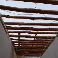 خرید انواع چوب درختان خشک و چوب سقفی