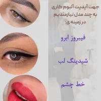 جذب مدل