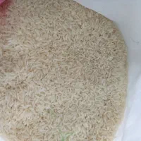 برنج طارم اعلای فریدونکنار -بوجاری شده برداشت تازه|خوردنی و آشامیدنی|بابل, |دیوار