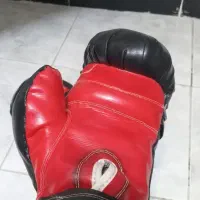 دستکش بوکس|تجهیزات ورزشی|بانه, |دیوار