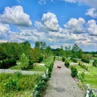 زمین شهرکی کنتوردار سندتکبرگ قابل ساخت ویو