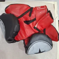 دستکش ووشو