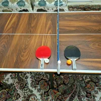 تولیدی پینگ پنگ چمدانی مسافرتی تاشو باغ ویلا خانه|ورزش‌های توپی|شهریار, شهریار|دیوار