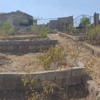 باغ فروشی در روستای مزرعه