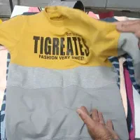 پلاستیک لباس کابشن تیشرت شومیز|لباس|بیرجند, |دیوار