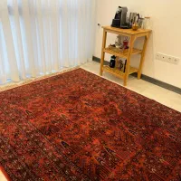 ۲ تخته فرش ۶ متری|فرش|شیراز, زرهی|دیوار