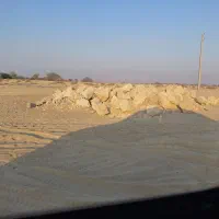 کارشناس ایمنی